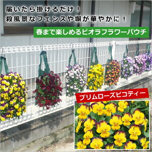 yrIt[pE`zF1yj[@v[YsReB[