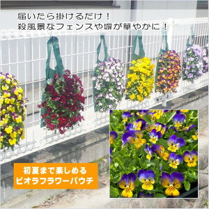 yrIt[pE`zF1t[p[@S[fu[Y