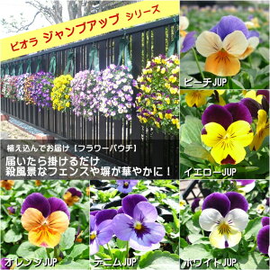 yrIt[pE`zF1\xXP@WvAbvV[Y