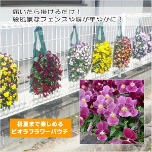 yrIt[pE`zF1vivi@XC[g[Y