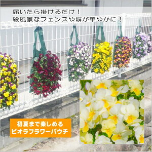 yrIt[pE`zF1yj[@v[YoCJ[