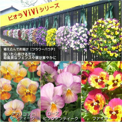 楽天市場 ビオラフラワーパウチ Viviシリーズ 産直花だん屋