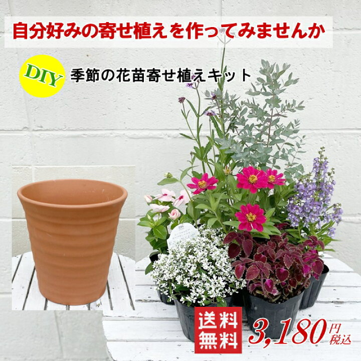 楽天市場 送料無料 Diy季節の草花を寄せ植えキット 培養土セット無し 産直花だん屋