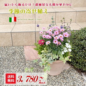 【送料無料】イタリア製テラコッタに季節の草花を寄せ植えしてお届け！