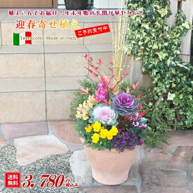 予約受付中【送料無料】イタリア製テラコッタの迎春寄せ植え！植えこんでお届けします！