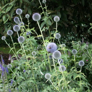 yGLmvXz^}AU~3|bg(ϊNj