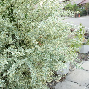 yC{^mLzVo[vybgitj5|bg