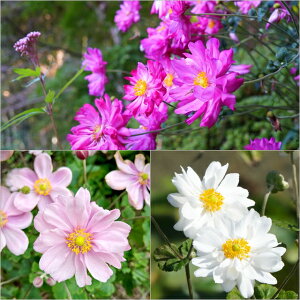 yAllzHe Z~_u炫 2.5` 3|bg