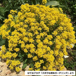 yA`iYizhAbT TLTeB9cm|bg