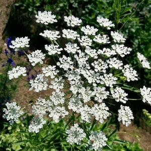 yhN[hLzzCg[Xt[ NC[IuAtJ3|bg