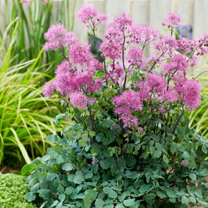 yJ}c\Ez^Ng@}CgtFCobg 3.5|bg