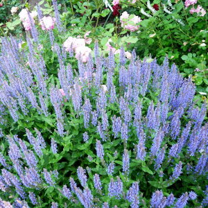 yTrAzhTrA@l[T Xyo 3|bg