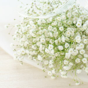 yWv\tBzhݑ d炫zCg 3|bg