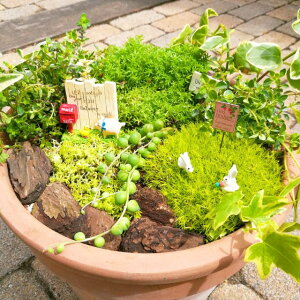 yZ_zZ_ 3Zbg2|bg(i͂CɂȂ܂j