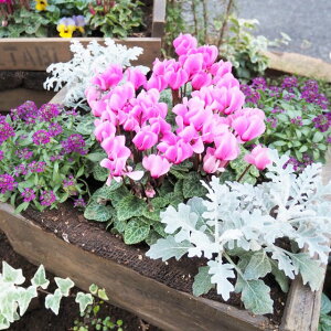 yVNz~jK[fVN 3|bg3ZbgiԐFCj