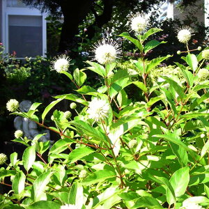 yZt@TXz[Cgt@^W[i^j^̖؁j5v