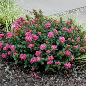 yTXxz␫TXx@|RbN4|bg