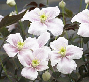 򕌌ZYyN}`Xz^inC[3|bg