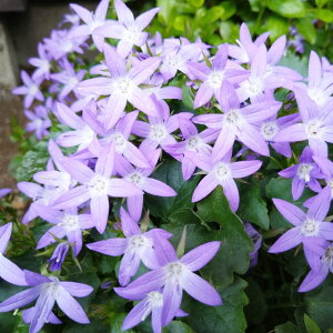 yJpjz|VXLiAyu[ 3|bgiϊNj