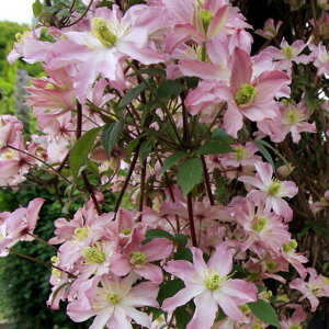 򕌌ZYyN}`Xz^in[Yobg 3|bg