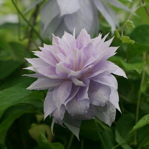 򕌌ZYyN}`Xz炫dpeXnx Iu EIbLO@ 3|bg