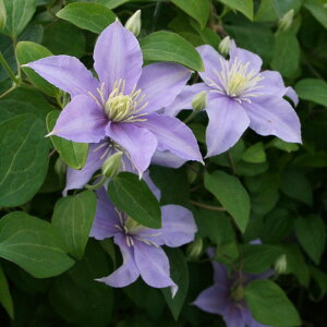 򕌌ZYyN}`XzB`ZnX^ 3|bg