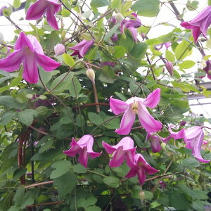 򕌌ZYyN}`XzBIinx 3|bg