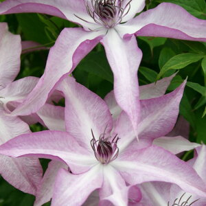 򕌌ZYyN}`Xzt_n 3|bg