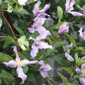 򕌌ZYyN}`XzCeOtHAn~L[EFC 3|bg