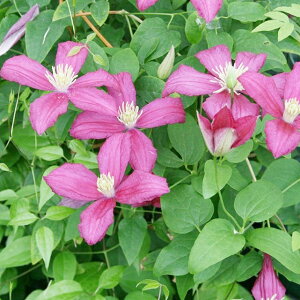 򕌌ZYyN}`XzB`ZnIWM 3|bg