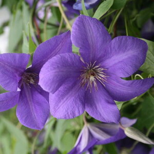 򕌌ZYyN}`Xzx炫֌n Z 3|bg