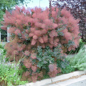 yReBkXzX[Nc[@O[X@4|bg