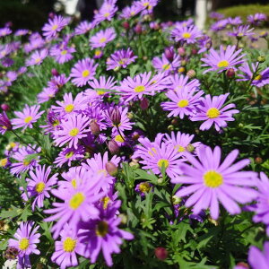 yuLRzuLJiPRXXjuXoCIbg 3|bgc