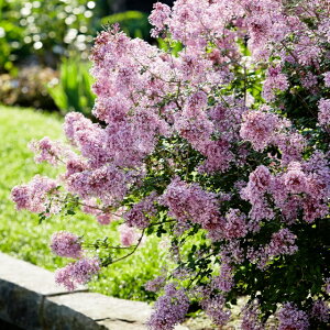 ynVhCzh[tCbN@WV[@4|bg