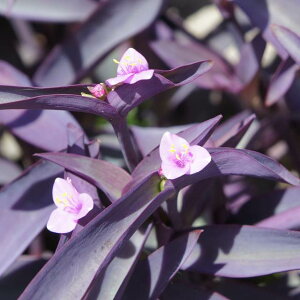 yTLcNTzZgNAZA@gfXJ`A 3.5|bgihj~t