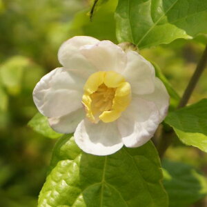 yEoCzEiicEoCi_ĘX~j6|bg