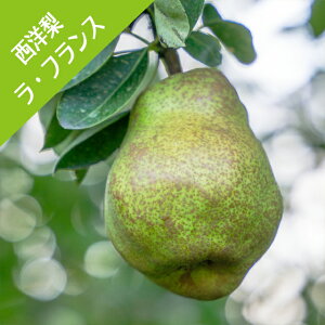 yiVzm@EtXiNږؕcj4LL|bg