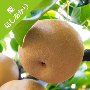 yiVz@ق 4|bgiږؕcjo^i