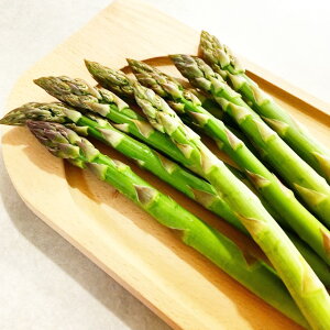 �y�N�T�X�M�J�Y�����z�O���[���A�X�p���K�X �����[���V���g��3���|�b�g