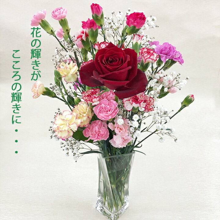 楽天市場 ラッピング花束バラ スプレーカーネーション かすみ草いつも幸せ 気軽にギフトにもお誕生日 結婚 出産 合格 入学 卒業開店 新築 引っ越し 歓迎会 送別会 退院 お祝い 産直花だん屋