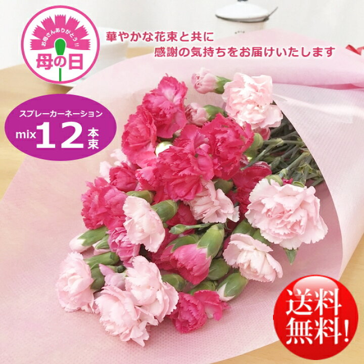 楽天市場 母の日ギフト 華やかカーネーションミックス12本花束 産直花だん屋