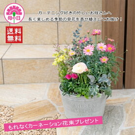 母の日ギフト！旬の草花を軽量樹脂製テラコッタに寄せ植えしてお届け！カーネーション3本のおまけ付！