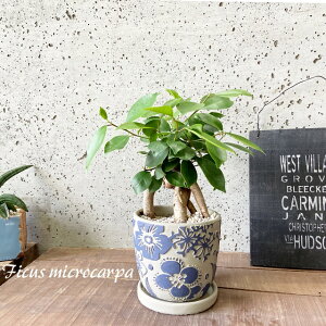 ϗtAyC`WNzKW}4SZgiMtjiCCGZ2011swj