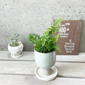 ϗtAyVmuzVmu3.5SZ~bNiTQ611-MGRj