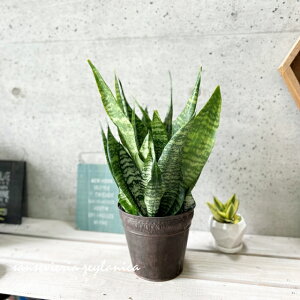 ϗtAyTZBGAzTXxAEgt@XLA^E[jJ6.5uLuEietj