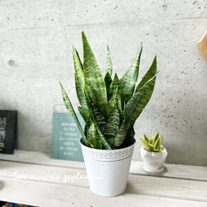 ϗtAyTZBGAzTXxAEgt@XLA^E[jJ6.5uLzCgietj