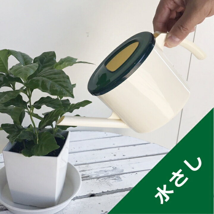 楽天市場 水さし 産直花だん屋