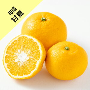 y̑kn~JzÉ iږؕcj4LL|bg