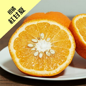 y̑kn~JzgÉāiږؕcj4LL|bg