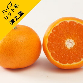 【ハイブリット系柑橘ミカン属】津之望（つののぞみ）（接木苗）4号LLポット　2022年度販売終了